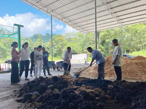李金鳳 技術(shù)服務(wù)向下扎根，茶葉發(fā)展向上騰飛