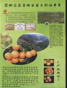 徐州農(nóng)副產(chǎn)品中心批發(fā)市場 守護(hù)“菜籃子”安全，譜寫惠農(nóng)興市新篇章