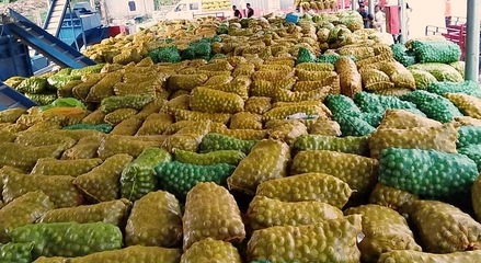 黃龍 探索農副產品“鏈式發展”，激活產業“聚變效應”